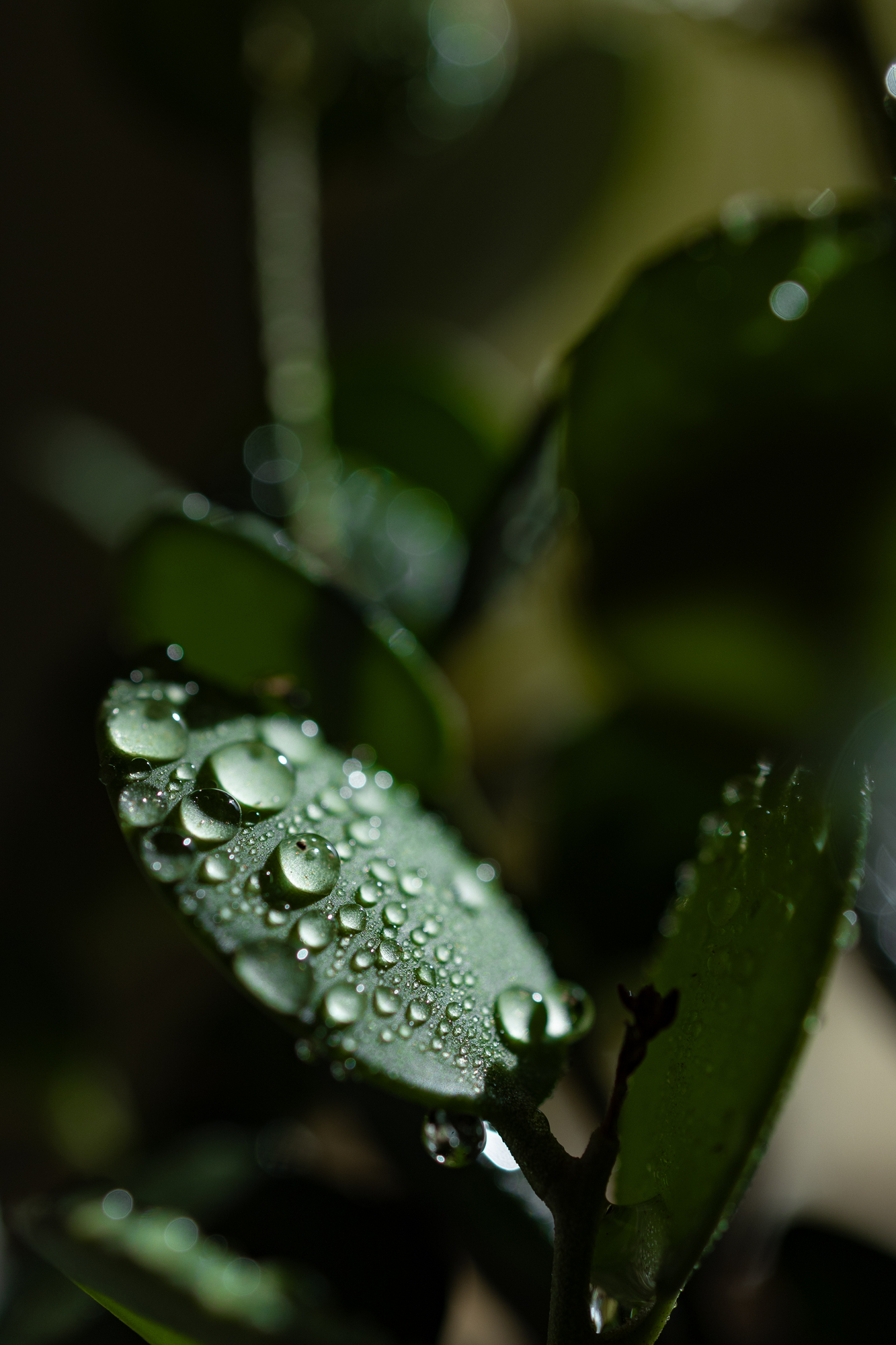 pixta_121931882_M